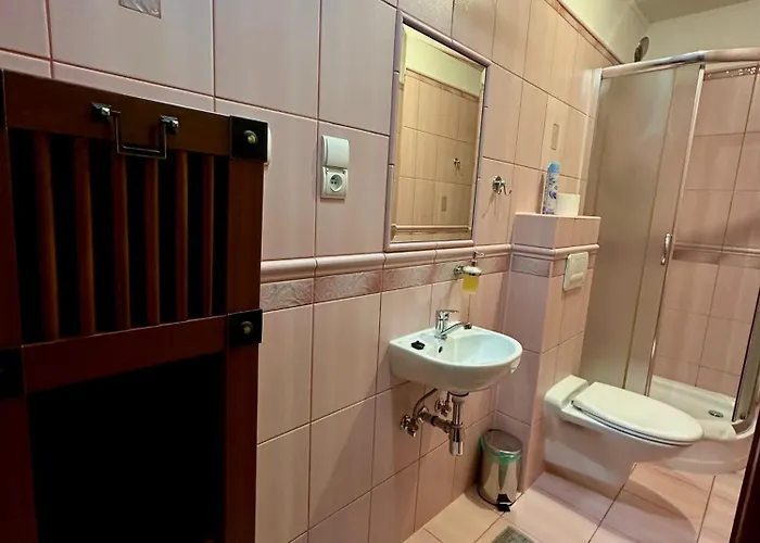 Roza Karkonoszy Еленя-Гура